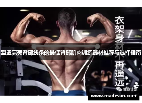 塑造完美背部线条的最佳背部肌肉训练器材推荐与选择指南